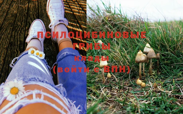 гидра Наволоки